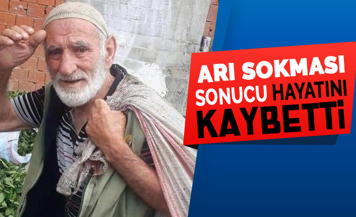 Arı sokması sonucu hayatını kaybetti Medya Laz Haber