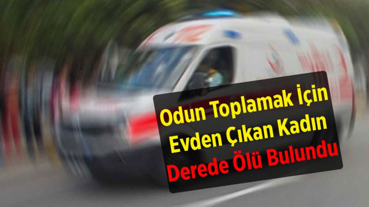 Odun Toplamak İçin Evden Çıkan Kadın Derede Ölü Bulundu