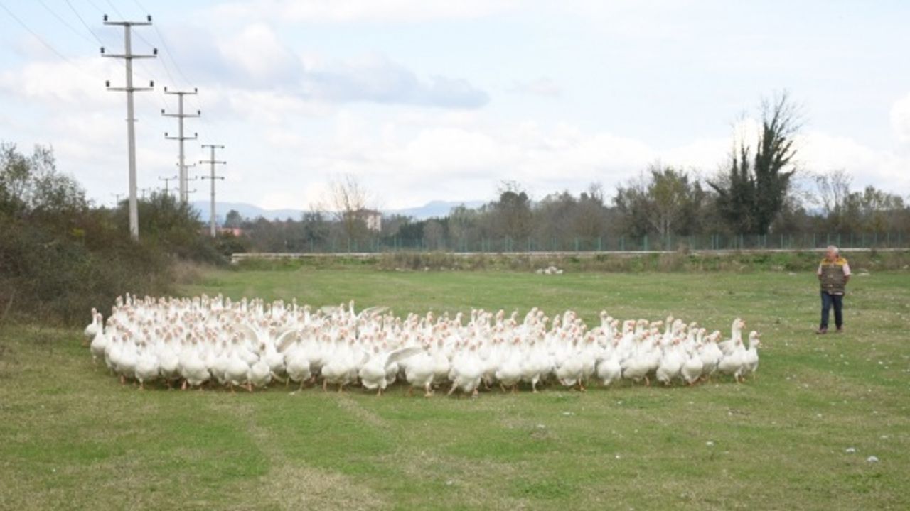 Aradığı huzuru kurduğu kaz çiftliği ve bağ evinde buldu