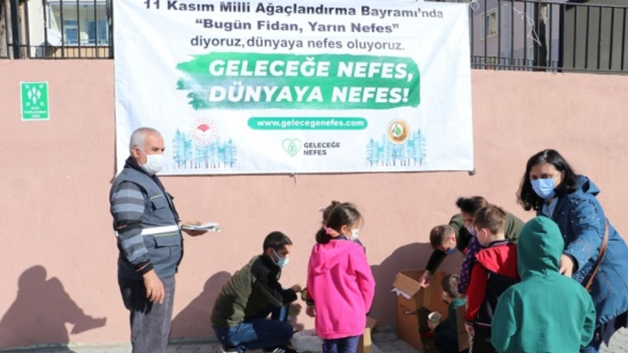 "Geleceğe nefes" için minik eller kara çam tohumu dikti