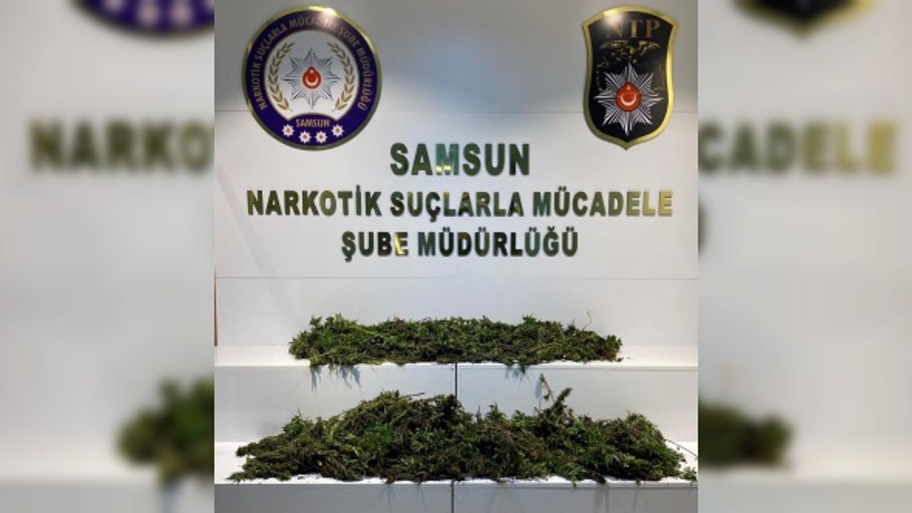 GÜNCELLEME - Ordu'da 12 kilogram uyuşturucuyla yakalanan şüpheli Samsun'da tutuklandı