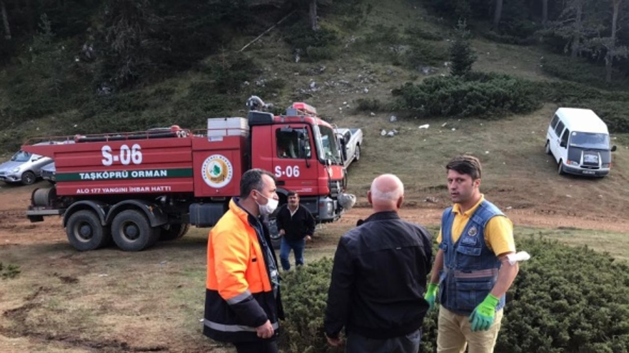 Kastamonu'daki 2 yangında yaklaşık 45 hektar ormanlık alan zarar gördü