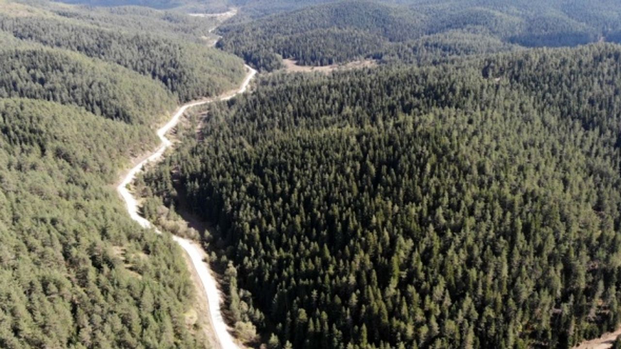 Köylerine yapılan asfalt yolu kirlenmesin diye sık sık temizliyorlar