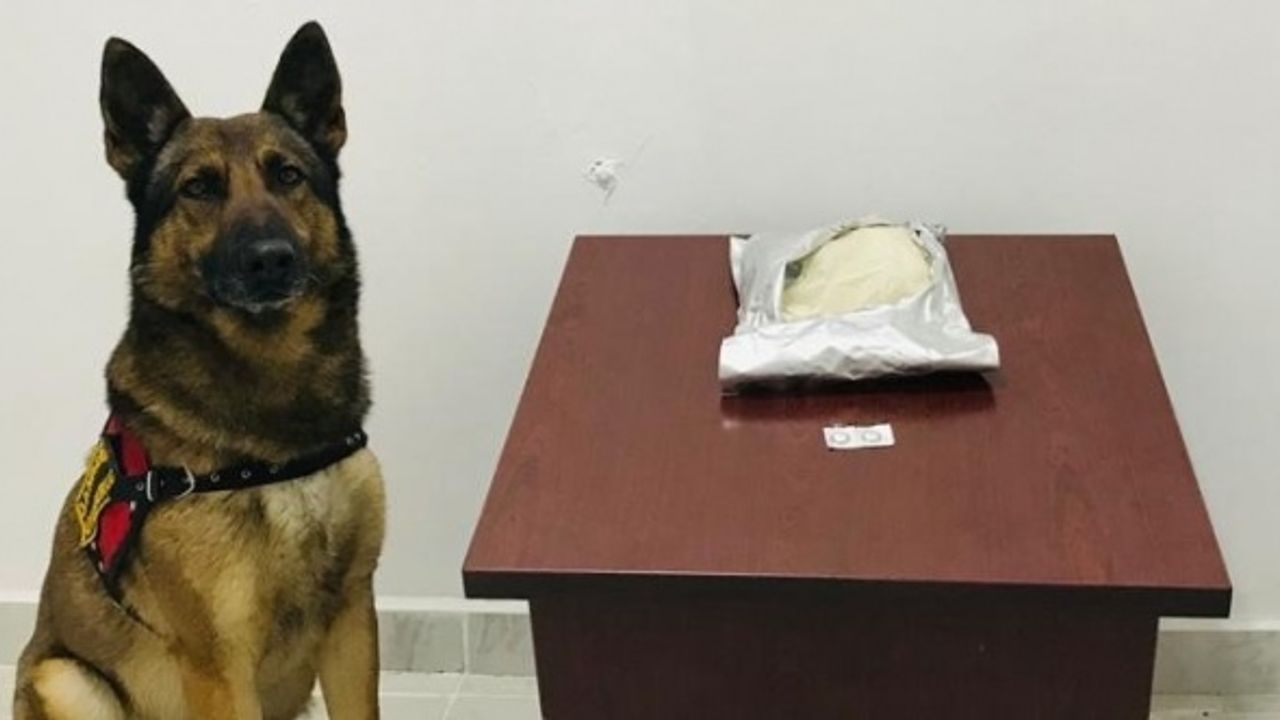 Bolu'da yolcu otobüsünde 1 kilo 150 gram bonzai ele geçirildi