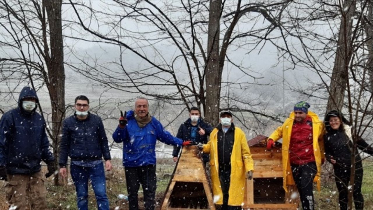 Samsun'da ekolojik yaşam gönüllüleri sokak hayvanları için kulübe yaptı