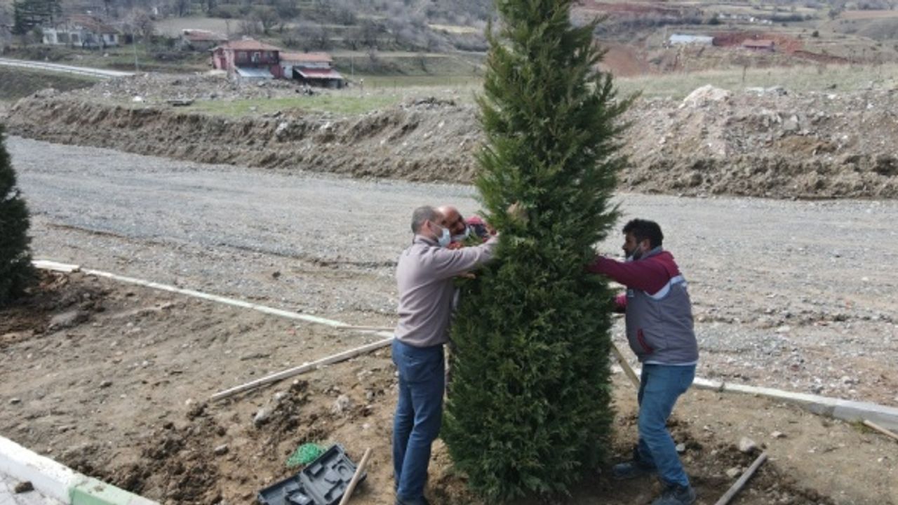 Tokat Belediyesi şehitlikte ağaçlandırma ve bakım çalışmaları yapıyor