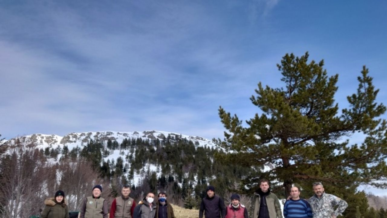 Bolu'da kışın yaban hayvanları için doğaya 35 ton 600 kilogram yem bırakıldı