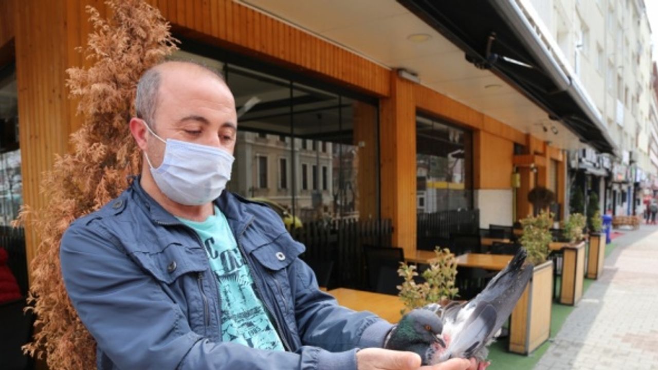 Hayvansever vatandaş kediden kurtardığı güvercini tedavi etmek için evine götürdü
