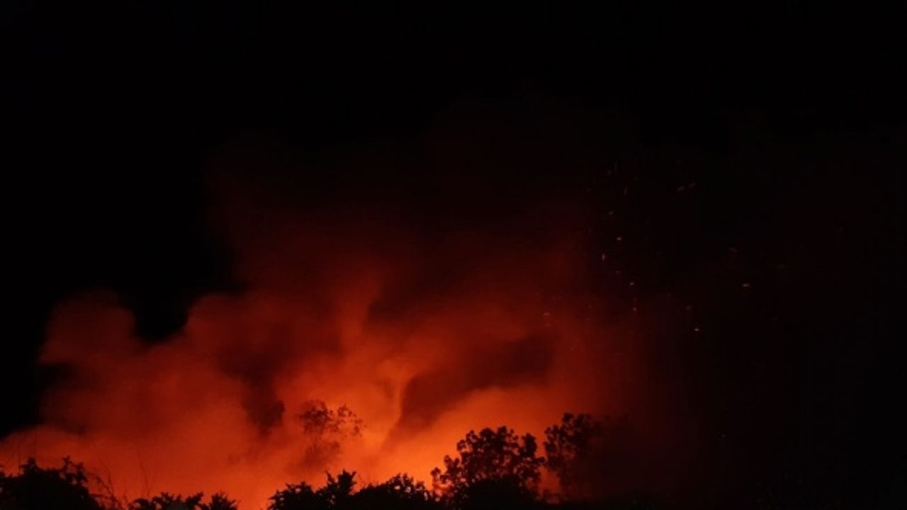 Kastamonu'da çöplükte çıktıktan sonra ormana sıçrayan yangın kontrol altına alındı