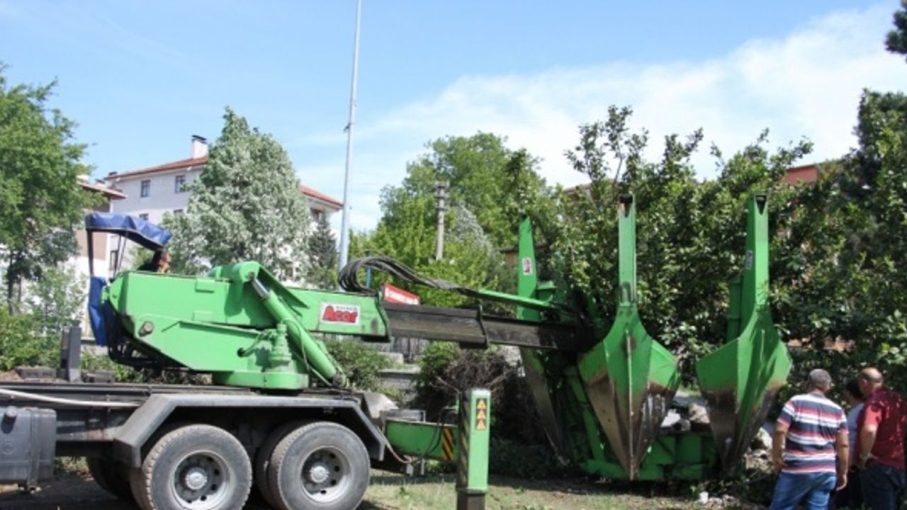Kastamonu'da inşaat bölgesinde kalan 8 ağaç sökülerek hastane bahçesinde dikildi