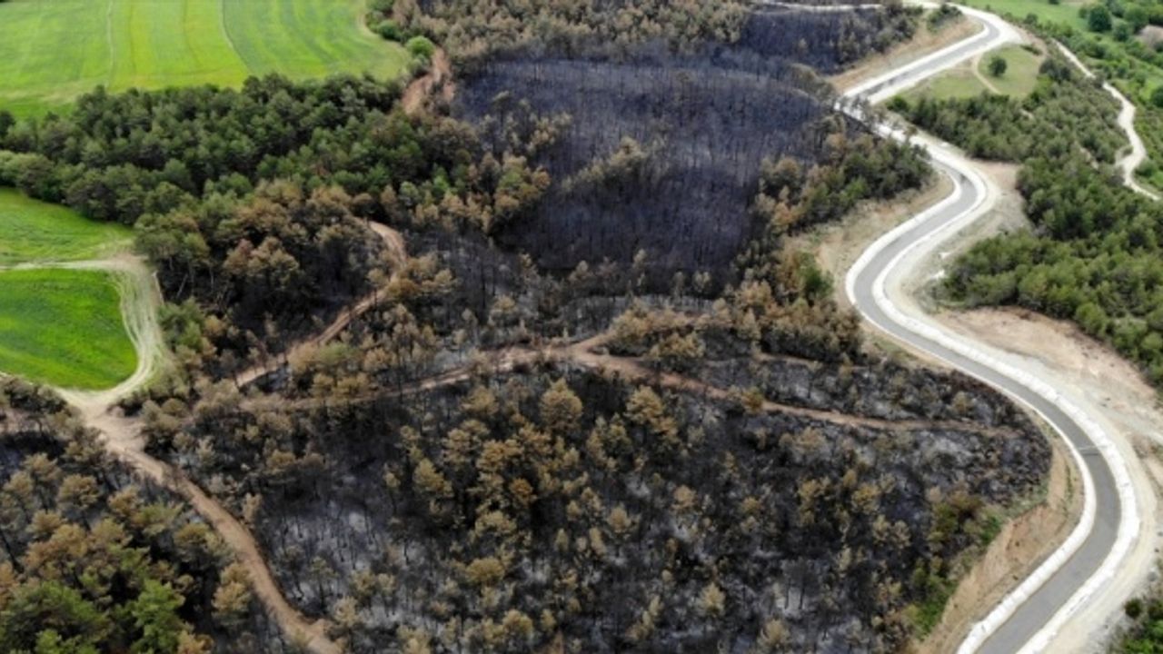 Kastamonu'daki orman yangınında 11 hektar alan zarar gördü