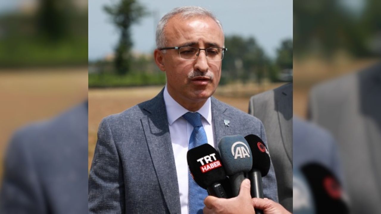 Gen havuzu çalışmalarıyla Türk çayının geleceği korunuyor