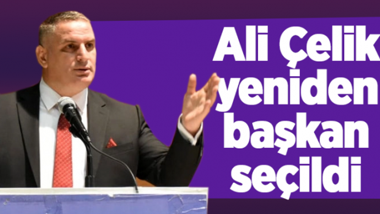 Ali Çelik yeniden başkan seçildi