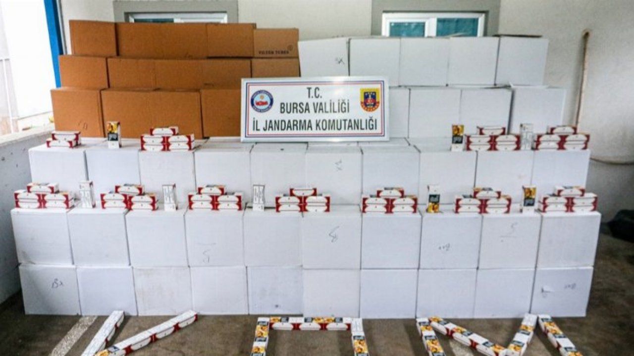 Bursa'da jandarma yüz binlerce kaçak makarona el koydu