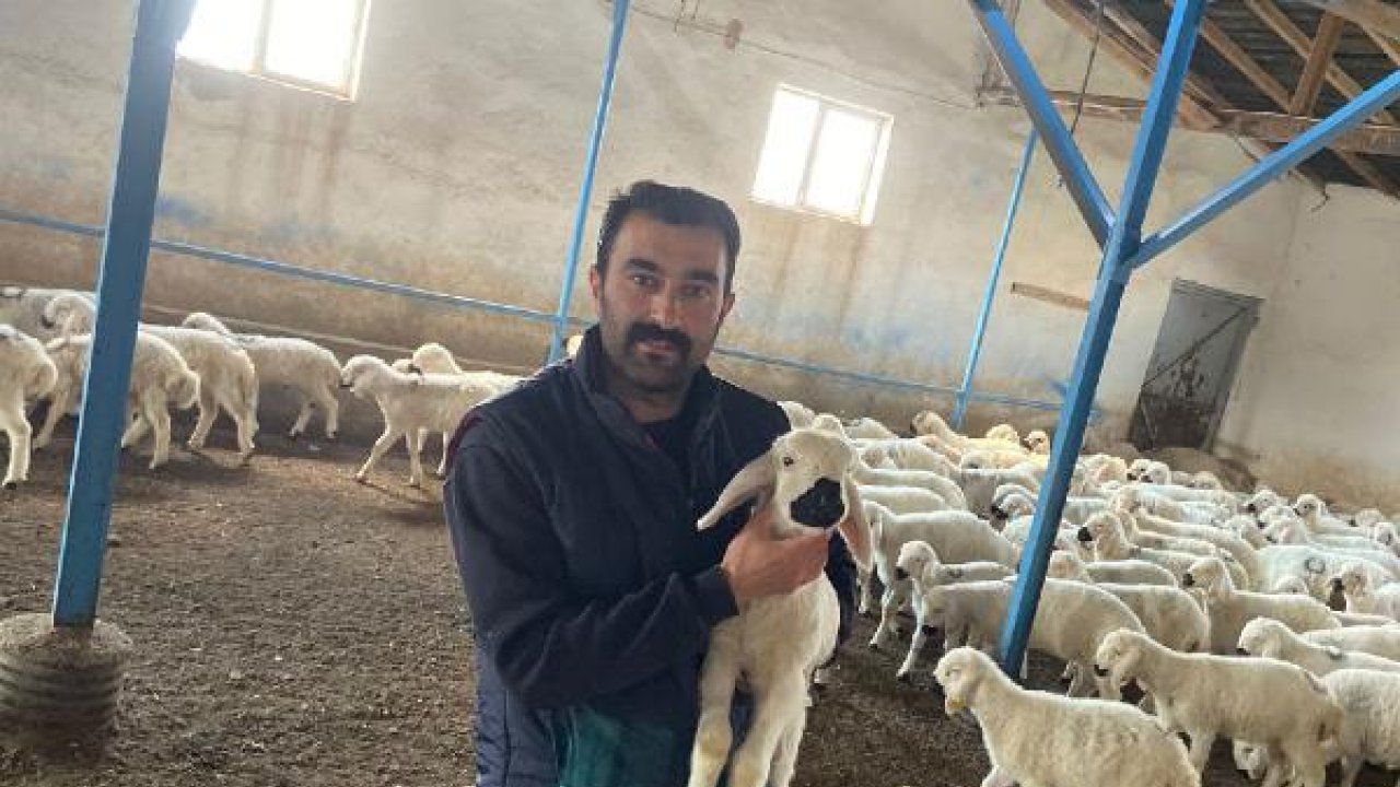 Çoban: Koyun yetiştiricilerinin tamamı proje kapsamına alınmalı
