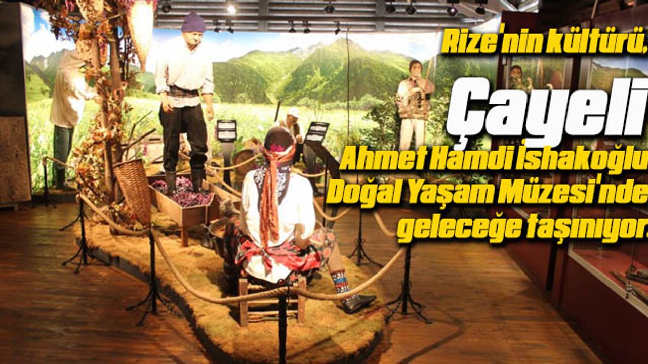 Rize'nin kültürü, Çayeli Ahmet Hamdi İshakoğlu Doğal Yaşam Müzesi'nde geleceğe taşınıyor.