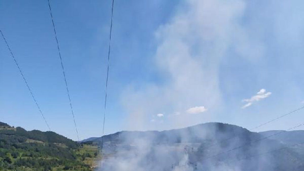 Ormanlık alanda yangın: 4 dönüm arazi etkilendi