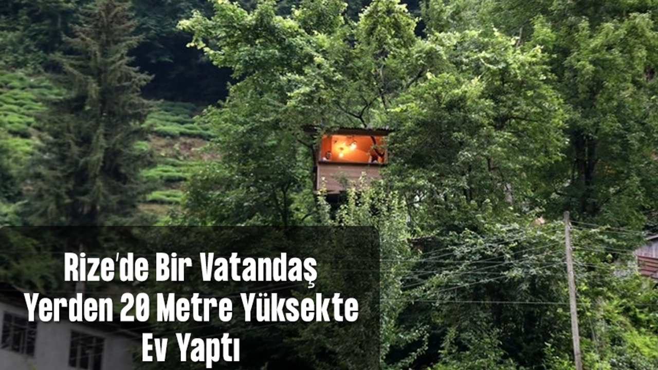 Rizeli vatandaş dört ağacın gövdesine bağlı, yerden 20 metre yüksekte ev yaptı