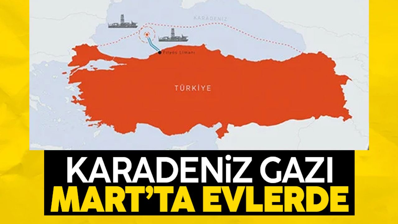 Cumhurbaşkanı Erdoğan: Karadeniz gazını martta hanelere veriyoruz