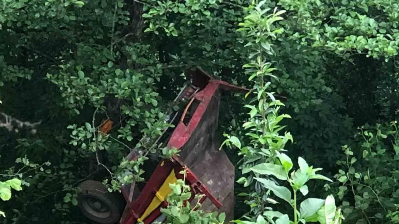 Şarampole yuvarlanan kamyon ağaçta asılı kaldı: 1 yaralı
