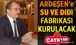 Sütlüoğlu "Ardeşen'e SU ve DİDİ fabrikası kuracağız"