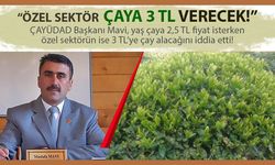 Özel sektör çaya 3 TL verecek!