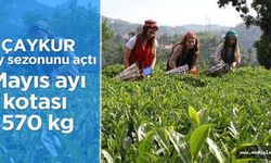 ÇAYKUR Mayıs ayı çay kotasını açıkladı