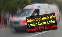 Odun Toplamak İçin Evden Çıkan Kadın Derede Ölü Bulundu