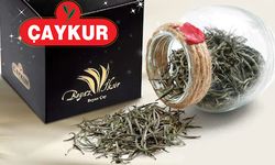 ÇAYKUR, İmparator Çayını 575 Liradan Alacak