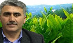 ÇAYÜDAD Başkanı Mavi: Yaş Çaya Verilen Zam Son 20 Yılın En Düşük Zammı Olmuştur