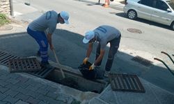 Altınordu'da mazgallar temizlendi