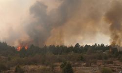 Bolu'da çıkan orman yangınına müdahale ediliyor