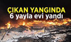 Çıkan Yangında 6 yayla evi yandı