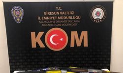 Giresun'da 7 kişiyi darp iddiasıyla yakalanan 9 şüpheli tutuklandı