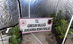Giresun'da uyuşturucu operasyonu