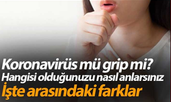 İşte koronavirüs ile grip arasındaki farklar! Uzmanı böyle uyardı