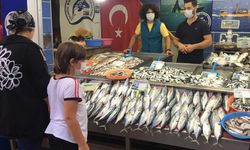Karadeniz'de tezgahlar palamutla doldu; hamsi bekleniyor