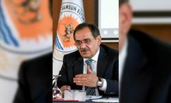 Kızılırmak Deltası Kuş Cenneti'ndeki yangınla ilgili bakanlıklar soruşturma başlattı
