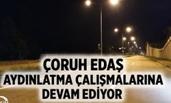 Rize'de Çoruh Edaş Aydınlatma Çalışmalarına Devam Ediyor