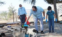 Taşova Müftüsü Güleç’ten hayvan barınağına ziyaret