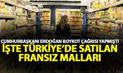 Cumhurbaşkanı boykot çağrısı yapmıştı! İşte Türkiye'de satılan Fransız malları