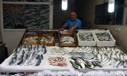Karadeniz'de ağlara takılmaya başlayan hamsi balıkçıları umutlandırdı