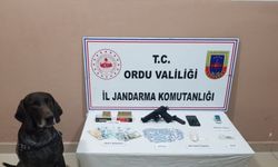 Ordu'da uyuşturucu operasyonunda iki kişi yakalandı