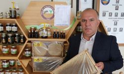Ordulu arıcılar 14 bin ton bal üretti