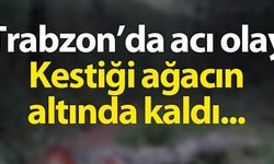 Trabzon'da kestiği ağacın altında kalan kişi öldü