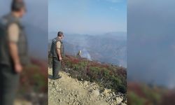 Trabzon'da iki farklı noktada örtü yangını meydana geldi