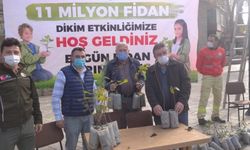 Alaplı'da fidan dağıtımı