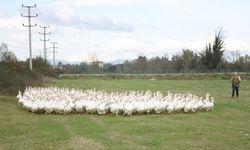Aradığı huzuru kurduğu kaz çiftliği ve bağ evinde buldu