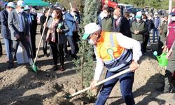 Batı Karadeniz ve Doğu Marmara'da "Milli Ağaçlandırma Günü" etkinlikleri düzenlendi