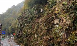 Çamlıhemşin'de kaya düşme riskine karşı yamaçlara çelik ağ örülüyor